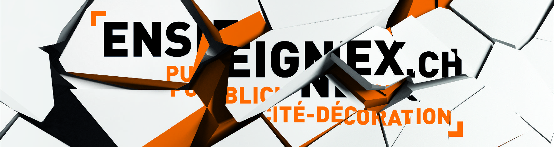 Enseignex.ch SA