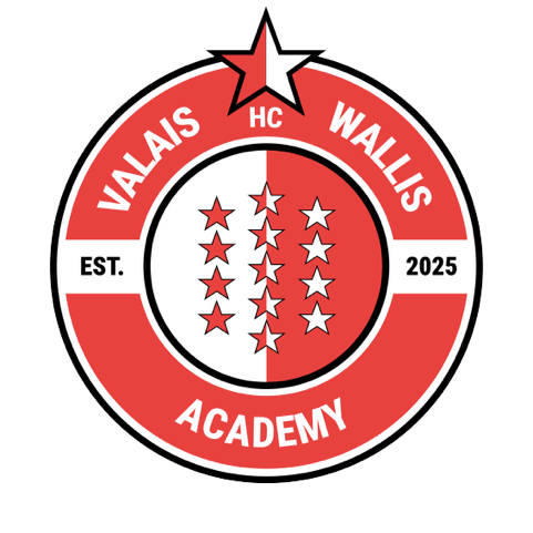 VW Academy